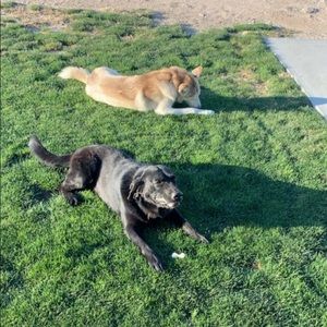 Meet your Posher, Jamie